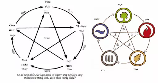 Âm dương - ngũ hành