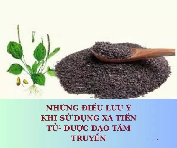 Xa tiền tử